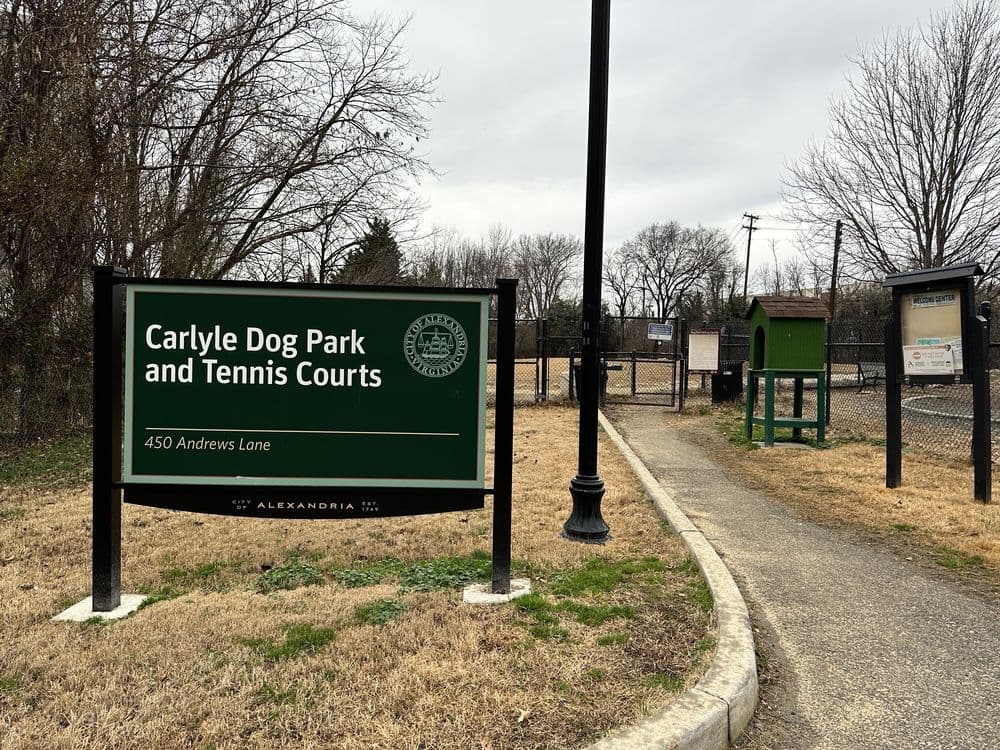 Carlyle Dog Park & Tennis Courts