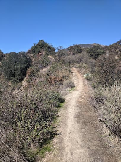 Wilderness Park