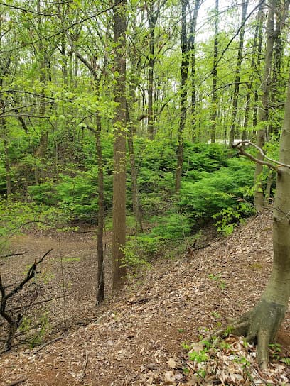 Iron Hill Park