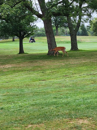 Highland Park Golf Course Green