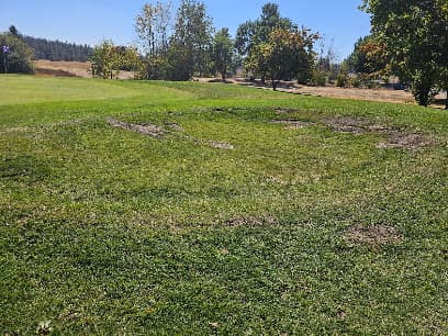 The Plains Golf Course
