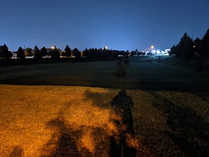 Disc Golf