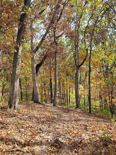 Klamberg Woods Conservation Area