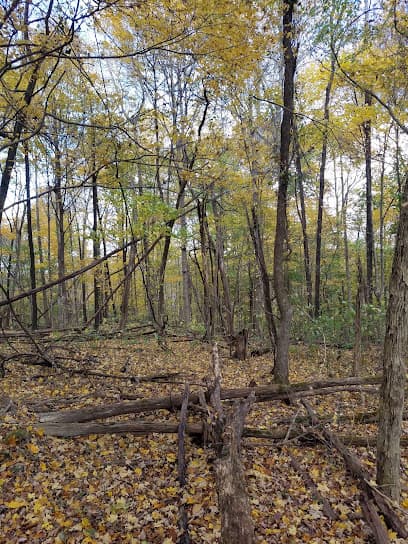 North Hill Camp