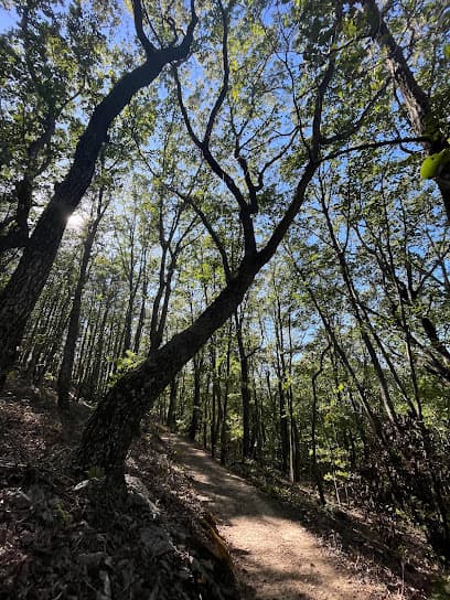 Sawnee Mountain Park