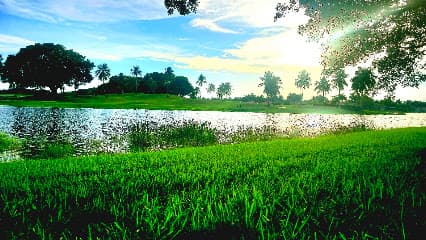 Weston Hills Country Club - Players Course