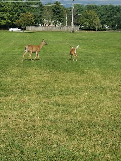 Rockdale Park