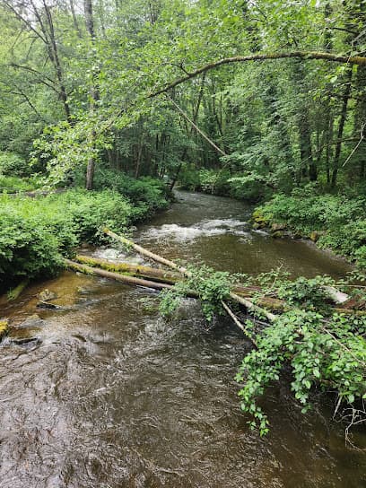 Kobayashi Creek
