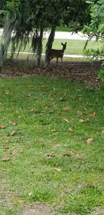 Grande Oaks Golf Maintenance