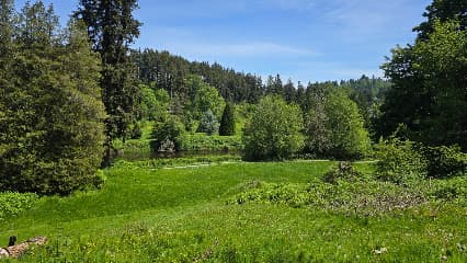 Wayne Park Bothell