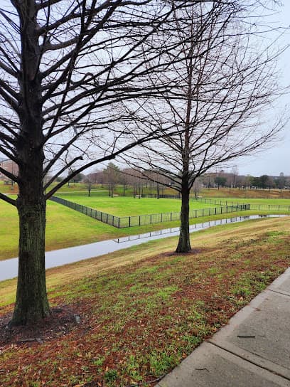 Dog Park