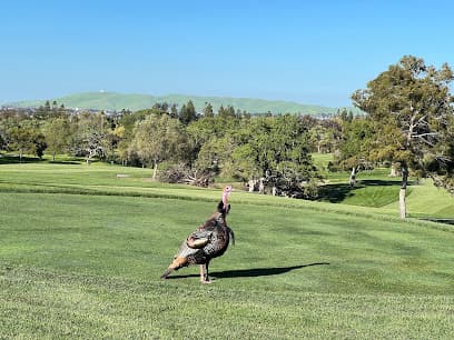 Contra Costa Country Club