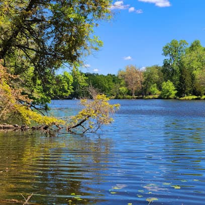 Alcyon Lake