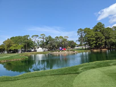Copperhead Course at Innisbrook Golf Resort