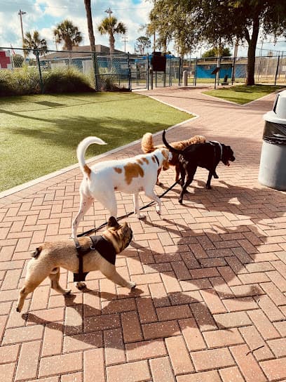 Paws Park