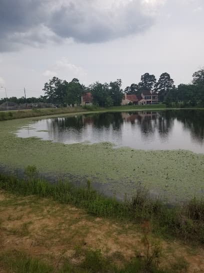 Newport Back Duck Pond