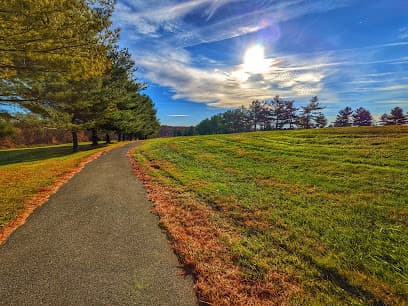 Mount Vista Park