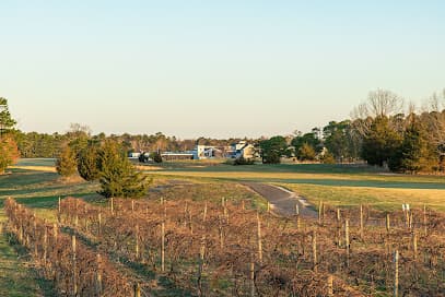 Vineyard National Golf Course