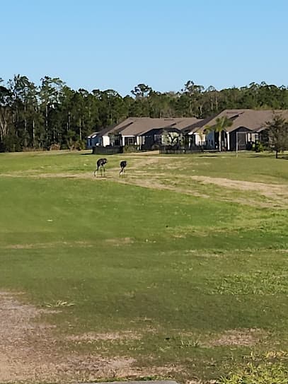 Grand Reserve Golf Club