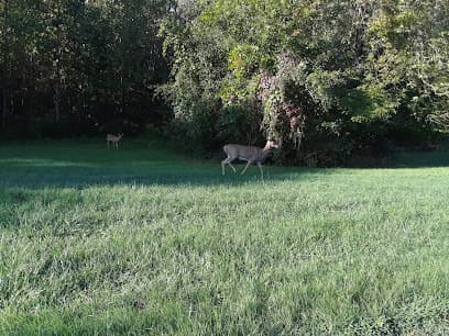 Parkland Recreation Area