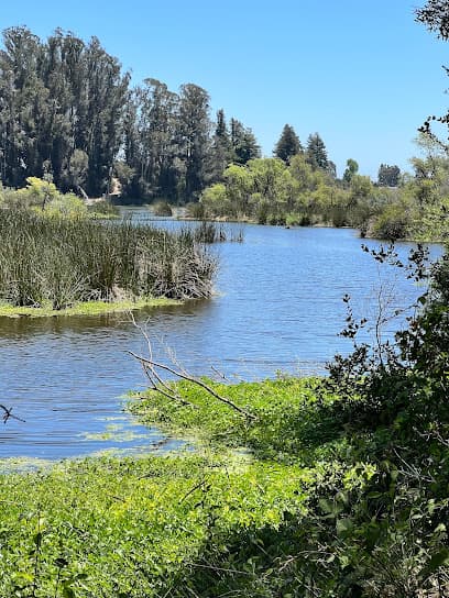 Pinto Lake County Park